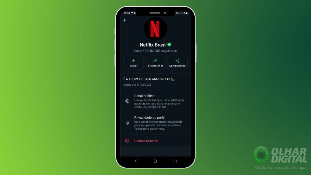 Canal da Netflix Brasil no WhatsApp