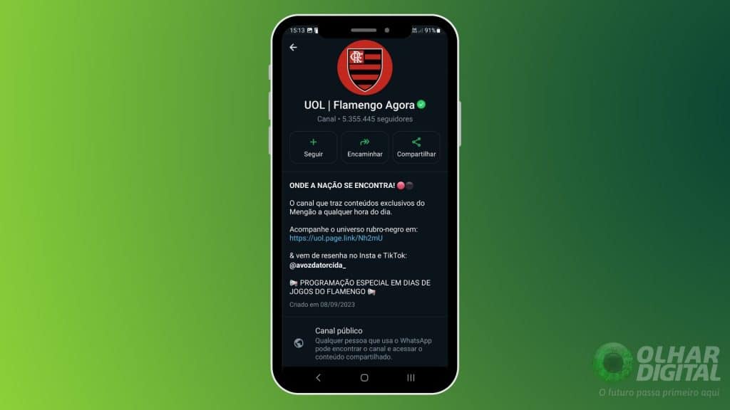 Canal do Uol Flamengo no WhatsApp