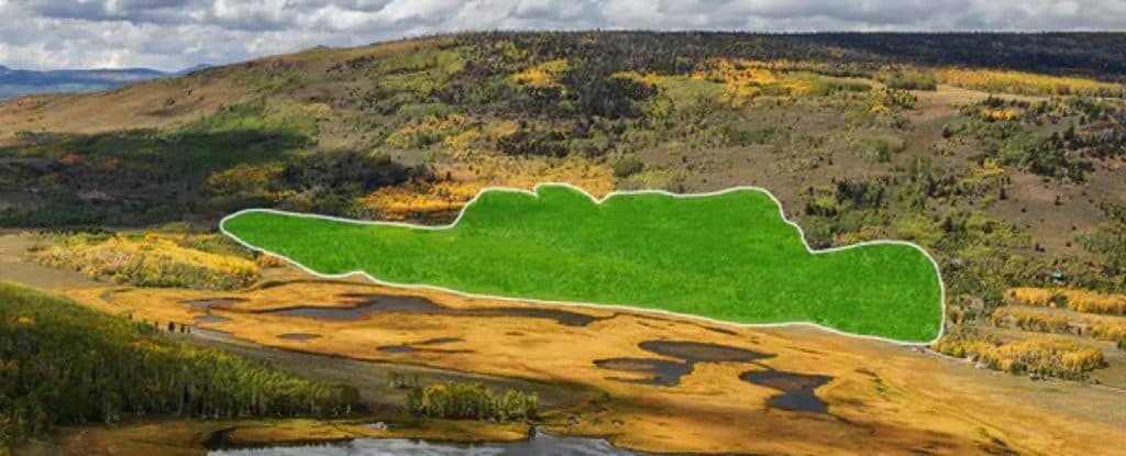 Área circulada para indicar o tamanho de Pando
